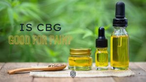 Read more about the article Is CBG Good for Pain?