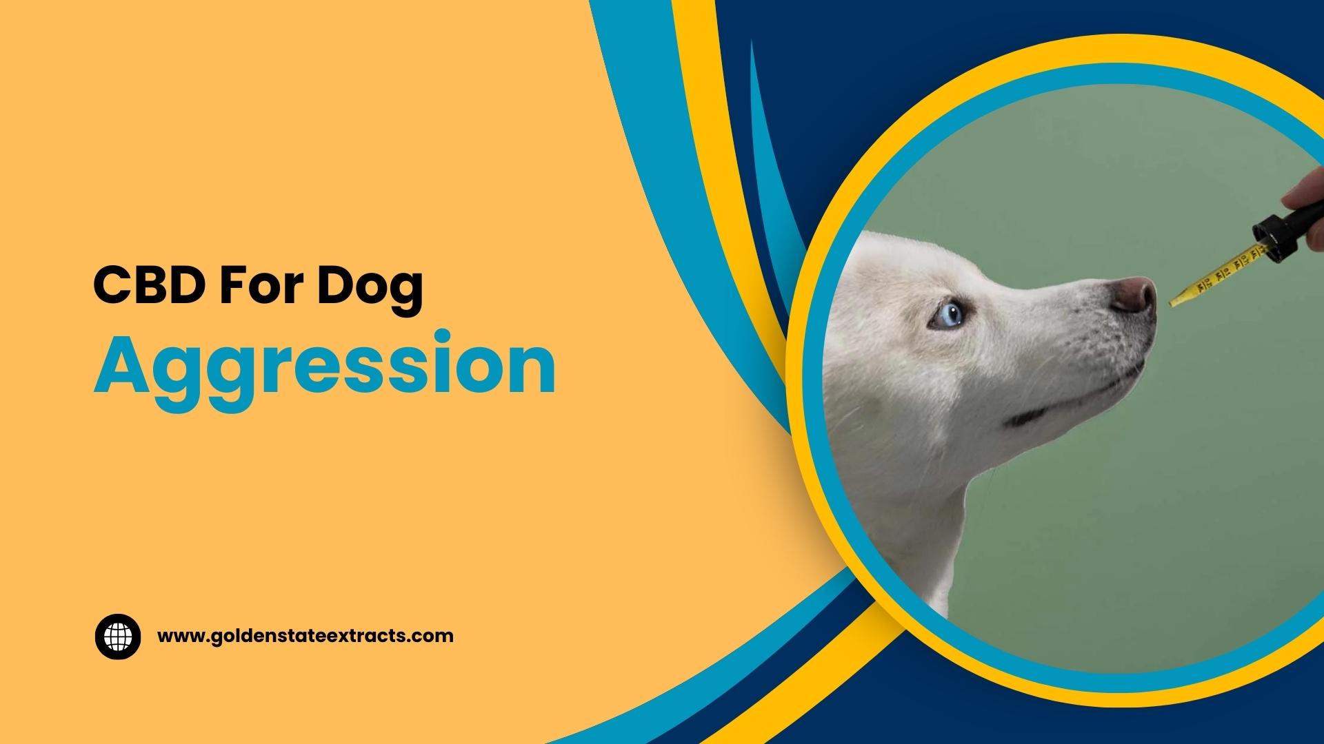 Read more about the article CBD for Dog Aggression: Is It Safe?