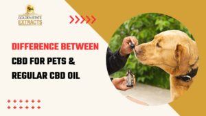 Read more about the article How CBD for Pets is Different than Regular CBD Oil?