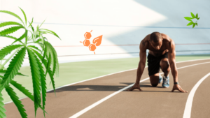 How Athletes Use CBD For Muscle Recovery